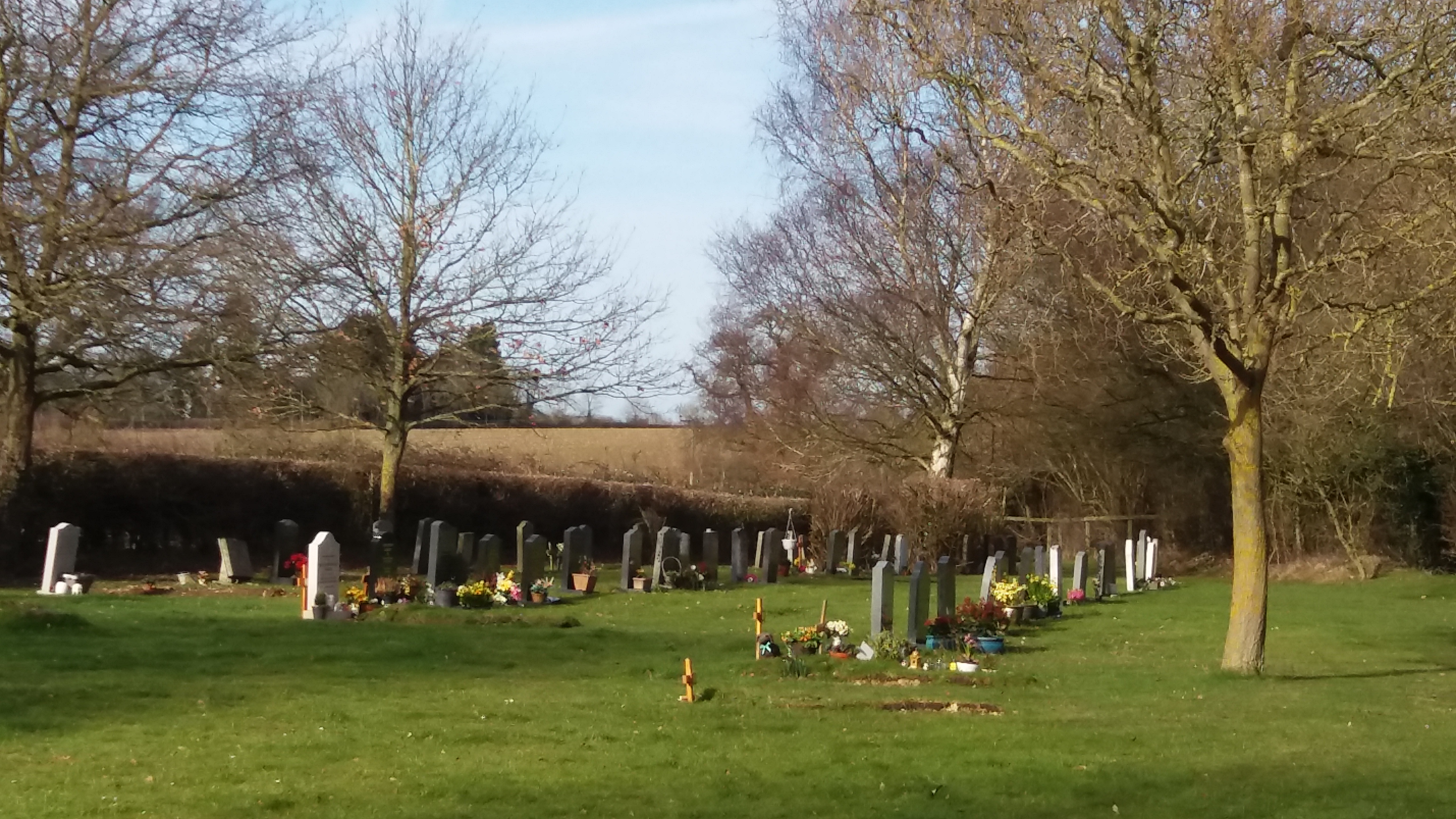 Picture of the burial ground with graves in rows and trees surrounding the area